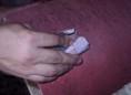 /album/fabricando-baterias-anthunysdrums-/pqaaakuverkg4gf9xstjo1urrcz-0yakrylxyjnm8g0vwmhwfpmssyk2eidlsz53fxighn-syri9em4ohwadpmhavsuam1t1umleb37ge7syca2l9t5jkpzej3xs-jpg/